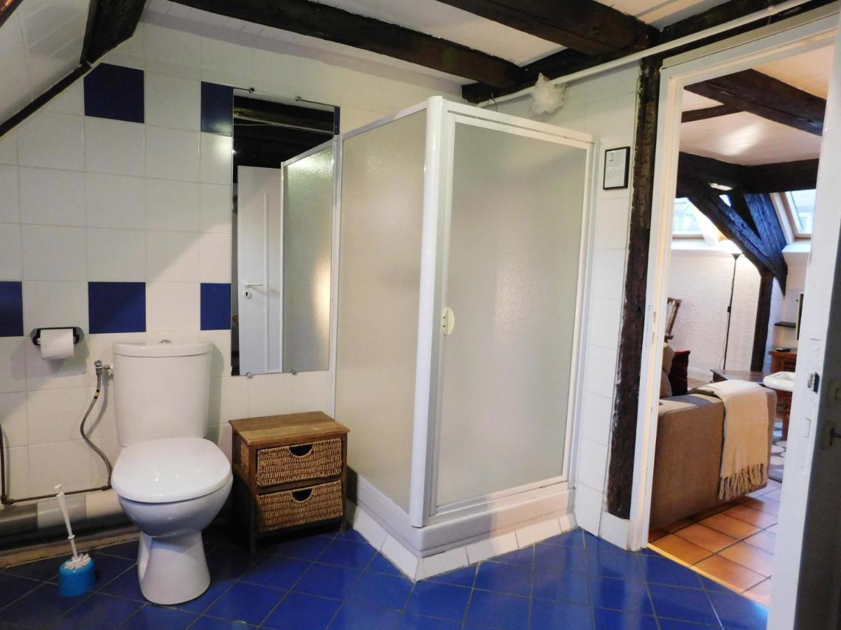 Appartement Typique Et Cosy A Deux Pas De La Cathedrale Strasbourg Bagian luar foto