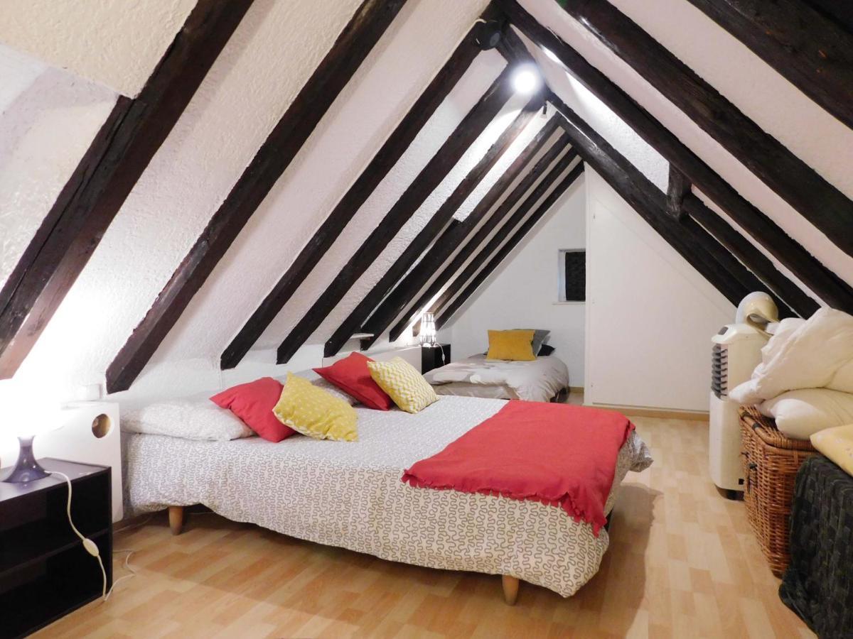 Appartement Typique Et Cosy A Deux Pas De La Cathedrale Strasbourg Bagian luar foto